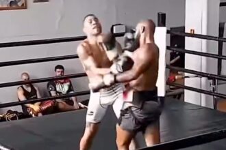 Alex Pereira, UFC, boxing, sparring