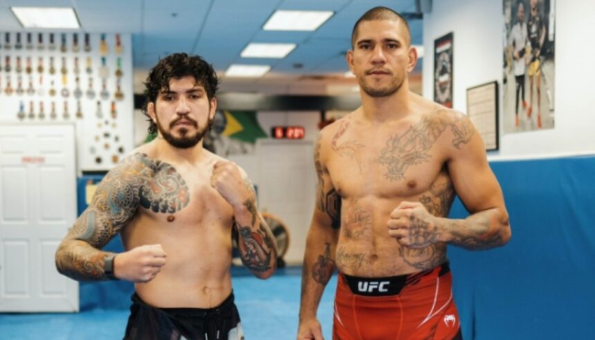 Alex Pereira, Dillon Danis