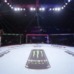 UFC Octagon