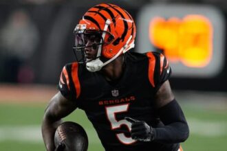 Tee Higgins Bengals pic