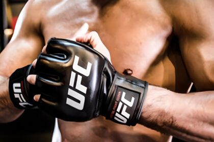 UFC Gloves