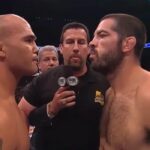 Robbie Lawler, Matt Brown, UFC, MMA